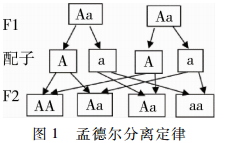 微信截图_20181026111037.png