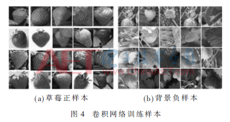 jsj5-t4.gif