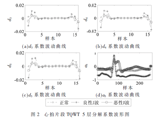 基于多特征融合的J波分類(lèi)模型