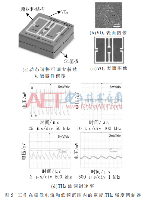 thz2-t5.gif