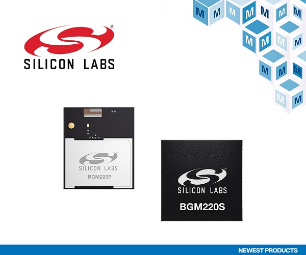 PRINT_Silicon Labs BGM220P BGM220S Wireless Gecko BLUETOOTH Modules.jpg