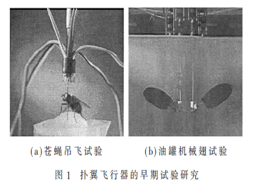 微型仿生撲翼飛行器研究綜述