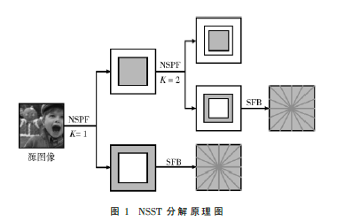 基于NSST和NLMF的多聚焦圖像融合