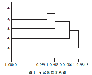 基于群組層次分析法的DNS安全狀態(tài)多級(jí)評(píng)估