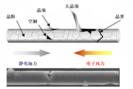 圖2.png