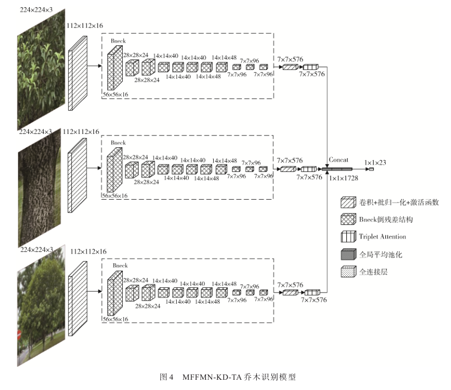 基于多特征融合和知識蒸餾的亞熱帶常見喬木識別方法