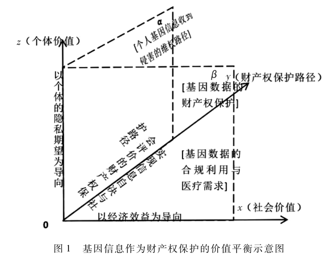 遺傳基因信息的私人財產(chǎn)性法律保護證成