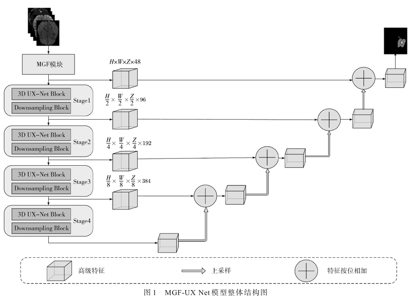 融合多模態分組特征處理模塊的腦腫瘤分割方法
