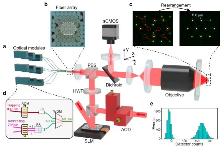 format,f_avif.avif (5).jpg format,f_avif.avif (5).jpg