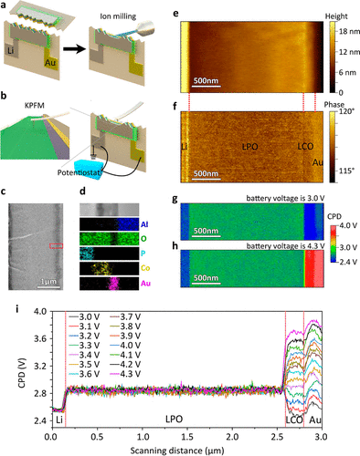 format,f_png (2).png