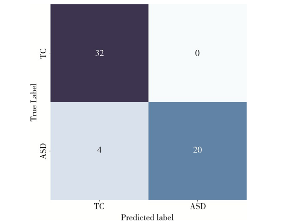 基于SABNet的自闭症谱系障碍多模态脑影像识别研究