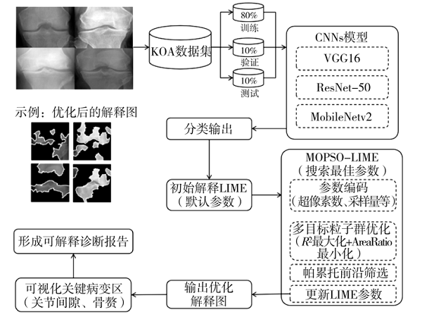 基于多目标优化的医学影像可解释性增强研究