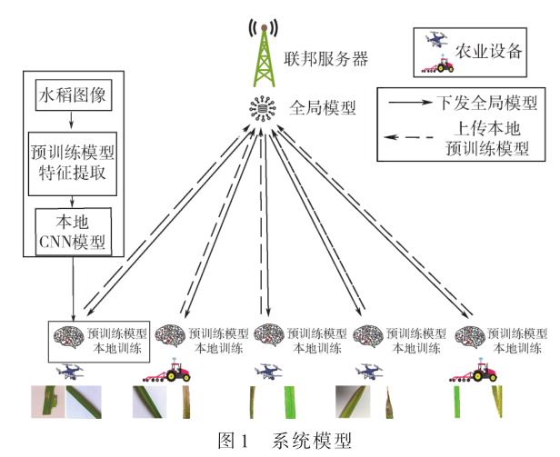 智慧农业下基于联邦学习的水稻病虫害分类研究