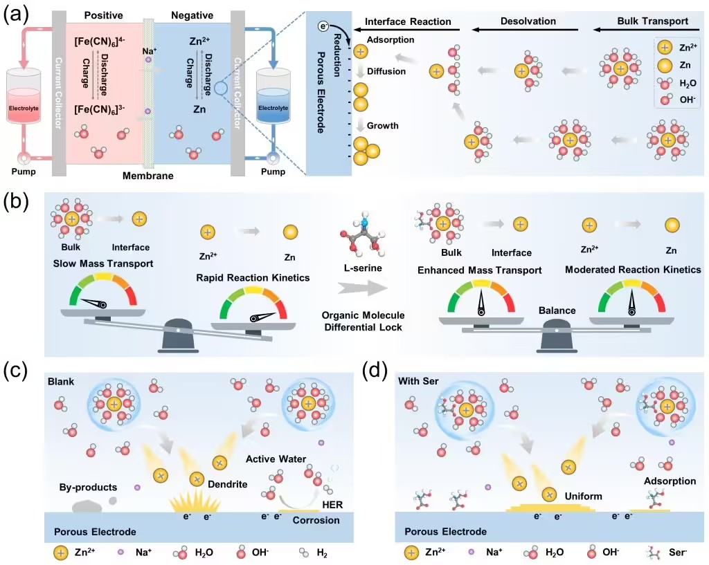 format,f_avif.avif (2).jpg
