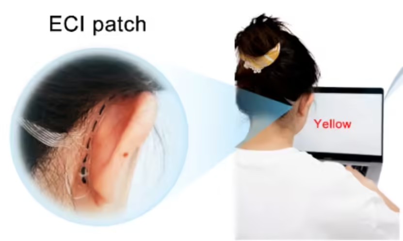 format,f_avif.avif (2).jpg format,f_avif.avif (2).jpg