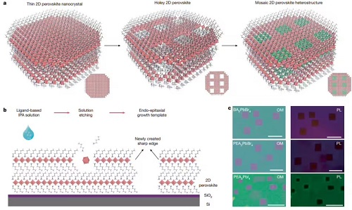 format,f_avif.avif (1).jpg