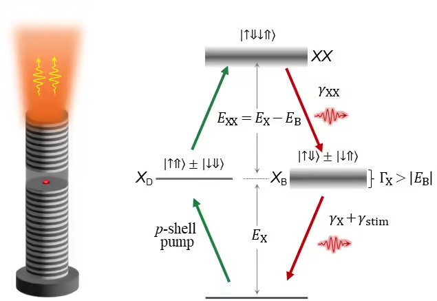 format,f_avif.avif (1).jpg