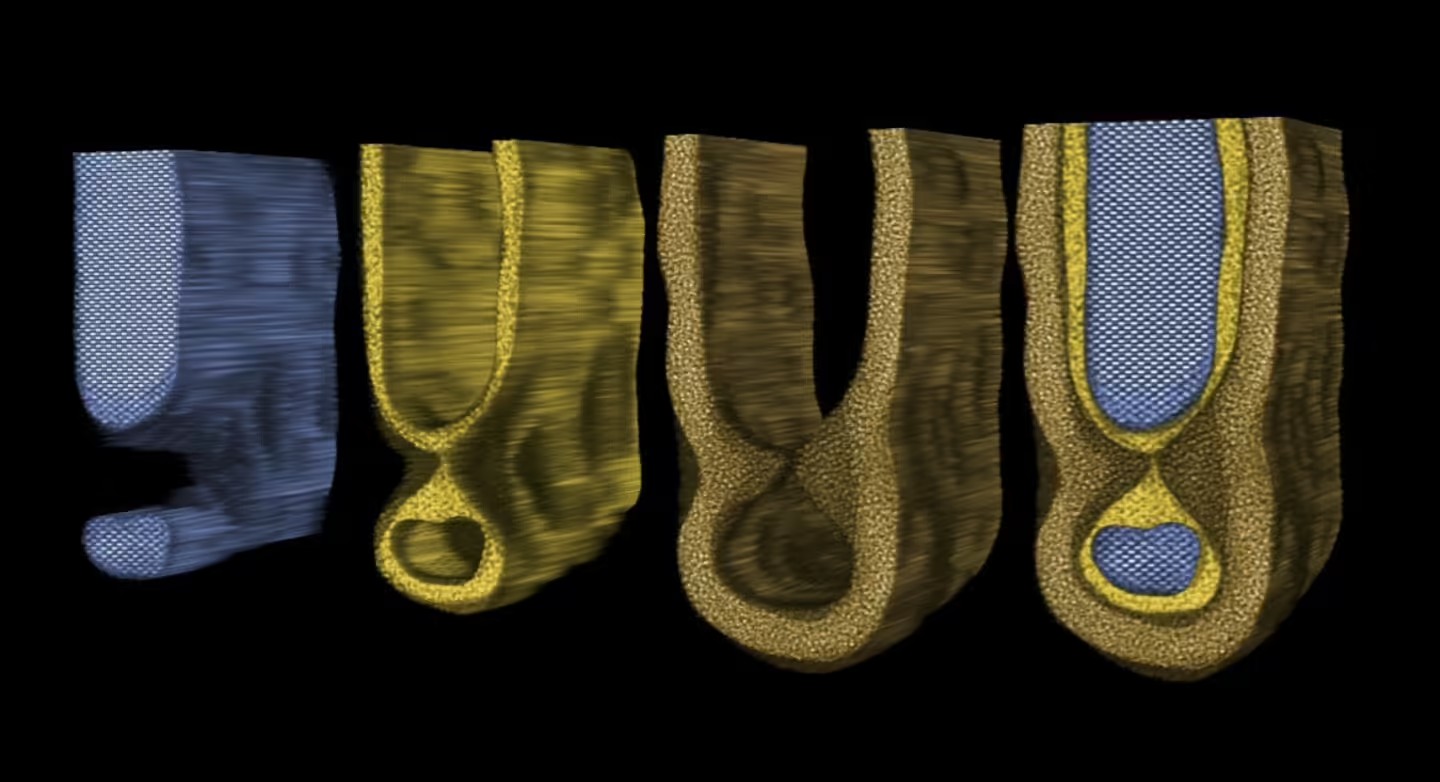 format,f_avif.avif (1).jpg format,f_avif.avif (1).jpg