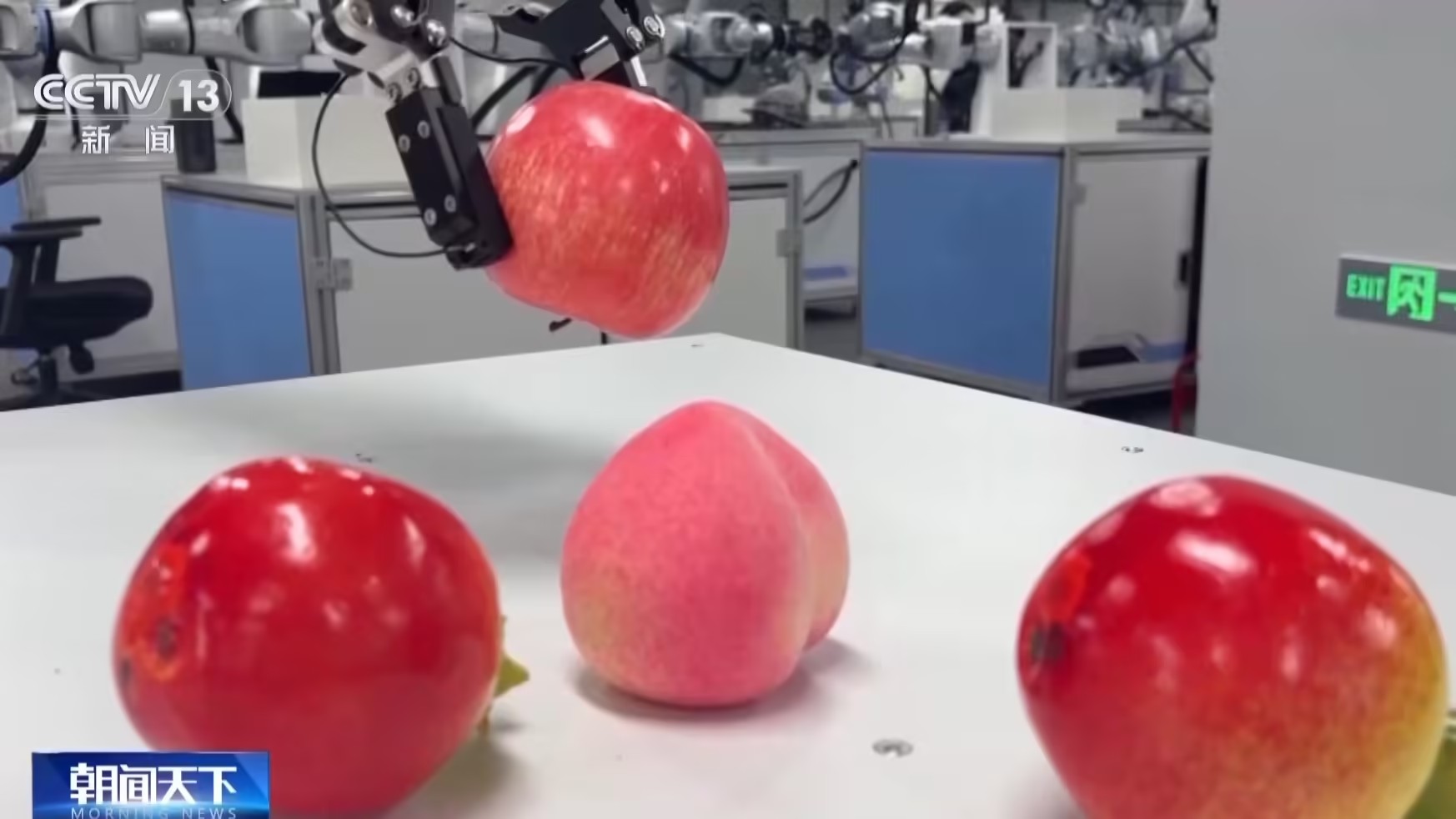 format,f_avif.avif (2).jpg