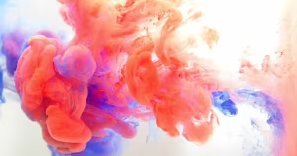 format,f_avif.avif (5).jpg