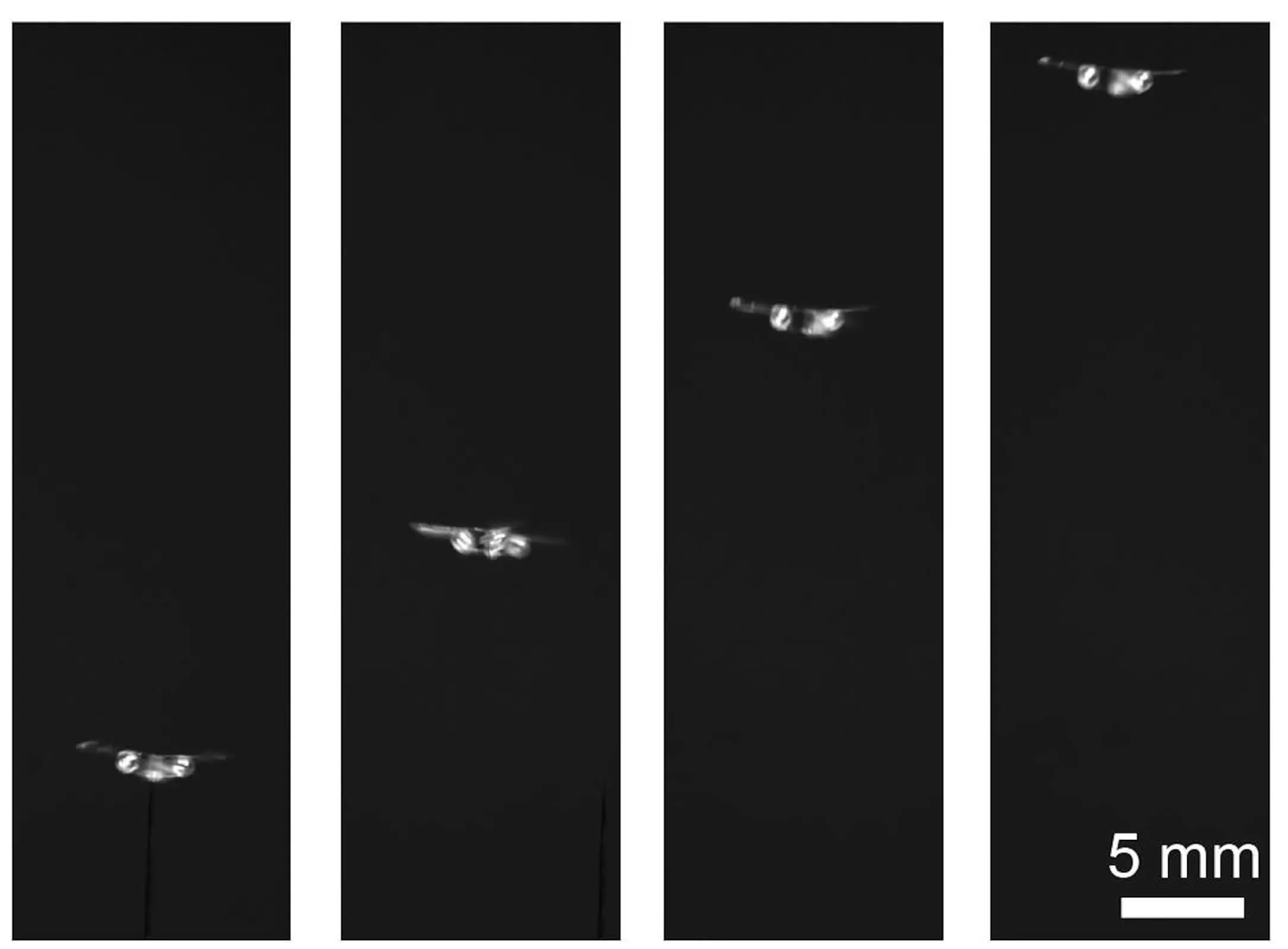 f6a56234-7e80-44d0-8e4f-eb760c3c8d5c.png f6a56234-7e80-44d0-8e4f-eb760c3c8d5c.png