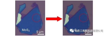 image2.png image2.png