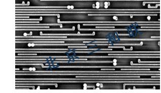 image3.png
