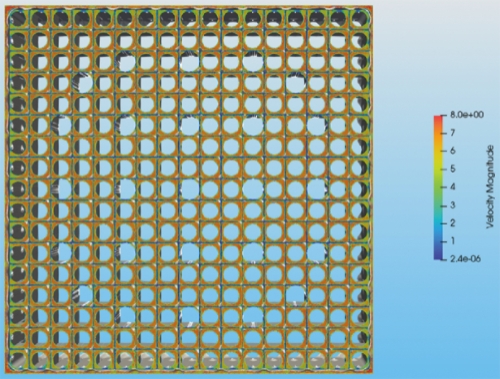1000018135.jpg
