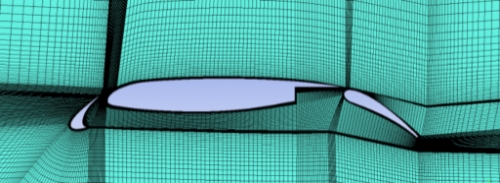 1000019547.jpg